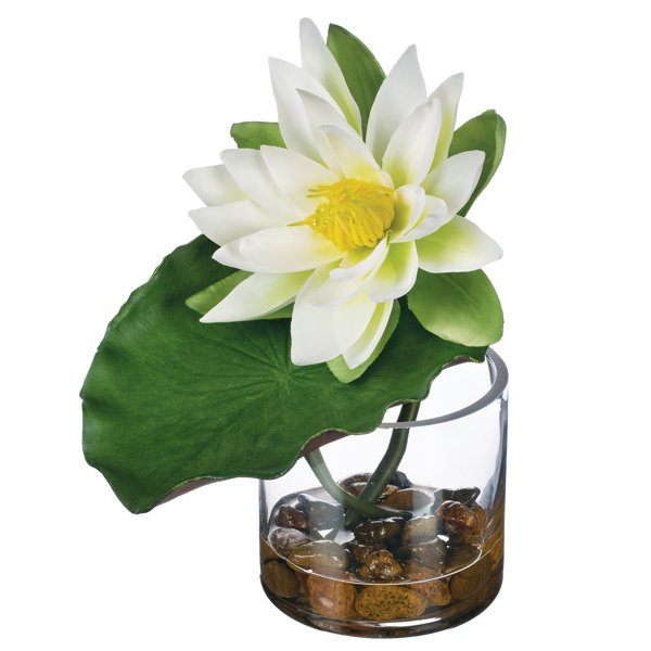 Rosdorf Park Water Lily Centerpiece in Glass Vase Wayfair